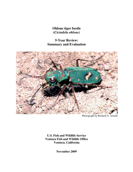 Ohlone Tiger Beetle (Cicindela Ohlone) 5-Year Review: Summary