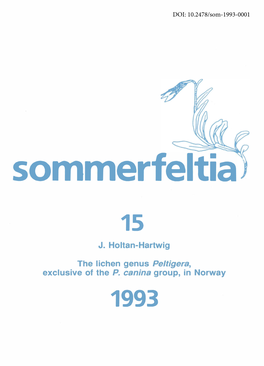 Sommerfeltia 15 J
