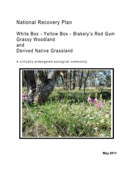 White Box-Yellow Box-Blakely's Red Gum Woodland