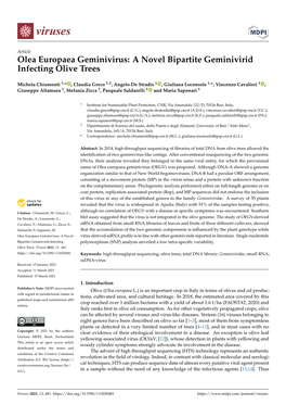 Olea Europaea Geminivirus: a Novel Bipartite Geminivirid Infecting Olive Trees