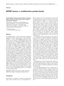 MTERF Factors: a Multifunction Protein Family