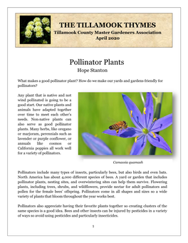 Pollinator Plants Hope Stanton
