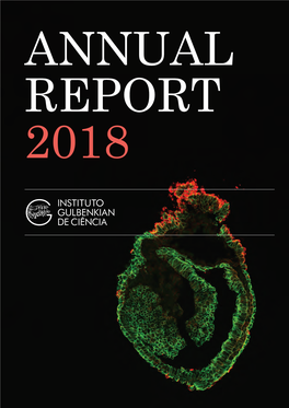 2018 COVER IMAGE Confocal Image of a Section of an Embryonic Day (E)7.5 Mouse Embryo, Immunostained for E-Cadherin (Green) and Ror Receptor (Red)