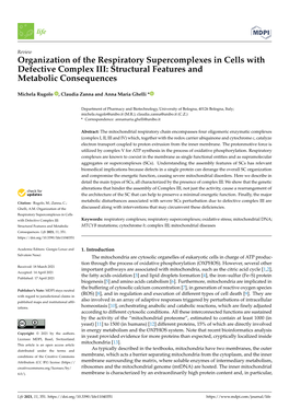 Organization of the Respiratory Supercomplexes in Cells with Defective Complex III: Structural Features and Metabolic Consequences