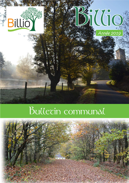 Bulletin Communal 2019