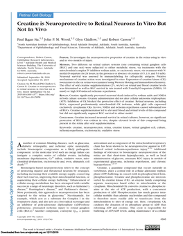 Creatine Is Neuroprotective to Retinal Neurons in Vitro but Not in Vivo