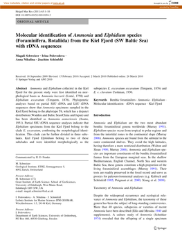 (Foraminifera, Rotaliida) from the Kiel Fjord (SW Baltic Sea) with Rdna Sequences