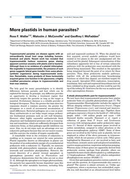 More Plastids in Human Parasites?