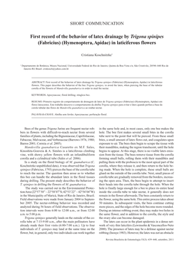 First Record of the Behavior of Latex Drainage by Trigona Spinipes (Fabricius) (Hymenoptera, Apidae) in Laticiferous Flowers