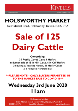 Sale of 125 Dairy Cattle