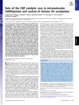 Role of the CBP Catalytic Core in Intramolecular Sumoylation and Control of Histone H3 Acetylation