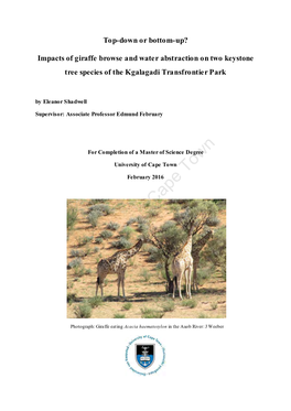 Impacts of Giraffe Browse and Water Abstraction on Two Keystone Tree Species of the Kgalagadi Transfrontier Park