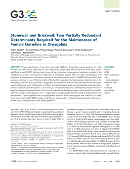 Stonewall and Brickwall: Two Partially Redundant Determinants Required for the Maintenance of Female Germline in Drosophila