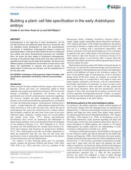 Building a Plant: Cell Fate Specification in the Early Arabidopsis Embryo Colette A