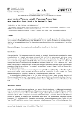 A New Species of Nemoura Latreille (Plecoptera: Nemouridae) from Amur River Basin (South of the Russian Far East)