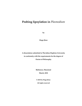 Probing Lipoylation in Plasmodium