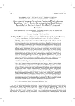 Morphology of Immature Stages in the Neotropical Nonfrugivorous Tephritinae Fruit Fly Species Rachiptera Limbata Bigot (Diptera: Tephritidae) on Baccharis Linearis (R