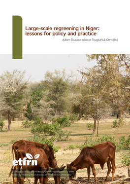 Large-Scale Regreening in Niger: Lessons for Policy and Practice Adam Toudou, Abasse Tougiani & Chris Reij