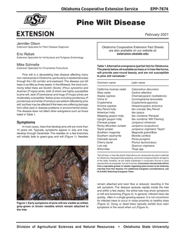 Pine Wilt Disease