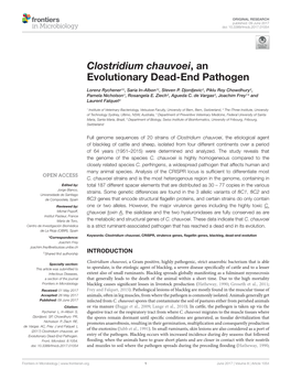 Clostridium Chauvoei, an Evolutionary Dead-End Pathogen