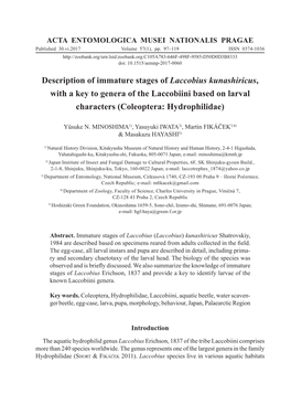 Description of Immature Stages of Laccobius Kunashiricus, with a Key to Genera of the Laccobiini Based on Larval Characters (Coleoptera: Hydrophilidae)