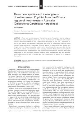 Three New Species and a New Genus of Subterranean Zuphiini from the Pilbara Region of North-Western Australia (Coleoptera: Carabidae: Harpalinae) Martin Baehr