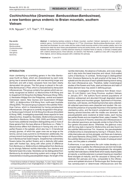 A New Bamboo Genus Endemic to Braian Mountain, Southern Vietnam
