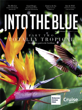 Into the Blue 17 PART TWO TOTALLY TROPICAL Unravel Your Scarf and Slip Into Your Sarong