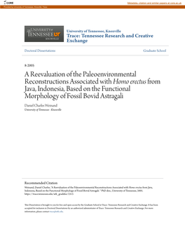 A Reevaluation of the Paleoenvironmental