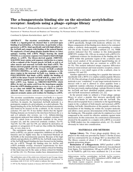 The -Bungarotoxin Binding Site on the Nicotinic Acetylcholine