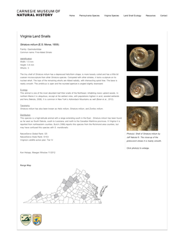 Mollusks : Carnegie Museum of Natural History