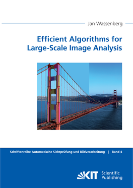 Efficient Algorithms for Large-Scale Image Analysis