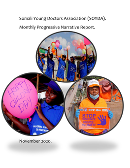 (SOYDA). Monthly Progressive Narrative Report. November 2020