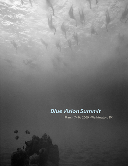 Blue Vision Summit March 7–10, 2009 • Washington, DC March 7–10 • Washington, DC Washington, 7–10 • March