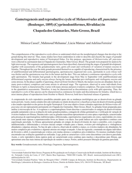 Gametogenesis and Reproductive Cycle of Melanorivulus Aff