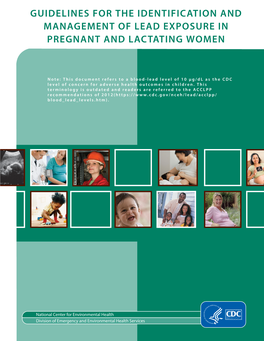 CDC Guidelines for Lead Exposure in Pregnant and Lactating Women