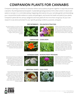 Cannabis Companion Planting Handout