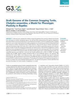 Draft Genome of the Common Snapping Turtle, Chelydra Serpentina, a Model for Phenotypic Plasticity in Reptiles