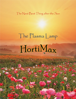 The Plasma Lamp