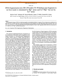 DNA Fragmentation Into 200-250 And/Or 30-50 Kilobase Pair Fragments in Rat Liver Nuclei Is Stimulated by Mg2+ Alone and Ca2’/Mg2’ but Not by Ca2+ Alone