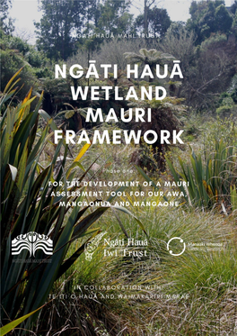 Ngāti Hauā Wetland Mauri Framework