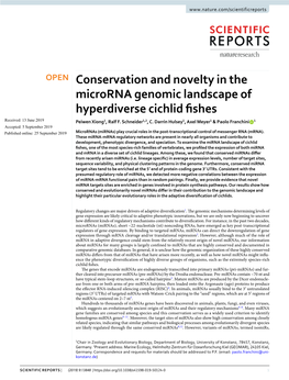Conservation and Novelty in the Microrna Genomic Landscape of Hyperdiverse Cichlid Fishes