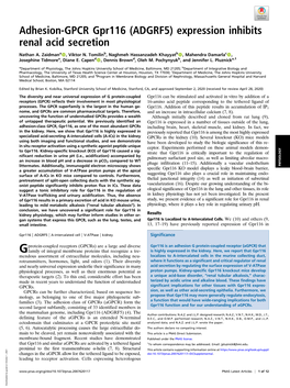 Adhesion-GPCR Gpr116 (ADGRF5) Expression Inhibits Renal Acid Secretion