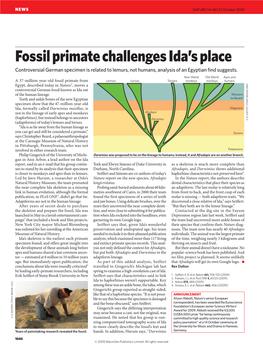 Fossil Primate Challenges Ida's Place