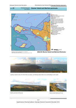 Skomer Island and Marloes Peninsula Area Name