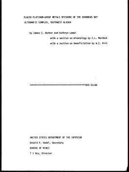Placer Platinum-Group Metals Offshore of the Goodnews Bay