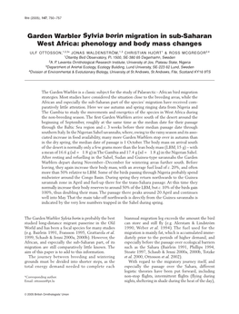 Garden Warbler Sylvia Borin Migration in Sub-Saharan West Africa: Phenology and Body Mass Changes