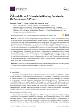 Calmodulin and Calmodulin Binding Proteins in Dictyostelium: a Primer