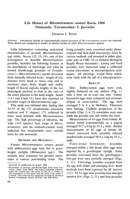 Life History of Microtetrameres Centuri Barus, 1966 (Nematoda: Tetrameridae) I