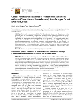 Genetic Variability and Evidence of Founder Effect in Hemiodus Orthonops (Characiformes: Hemiodontidae) from the Upper Paraná River Basin, Brazil